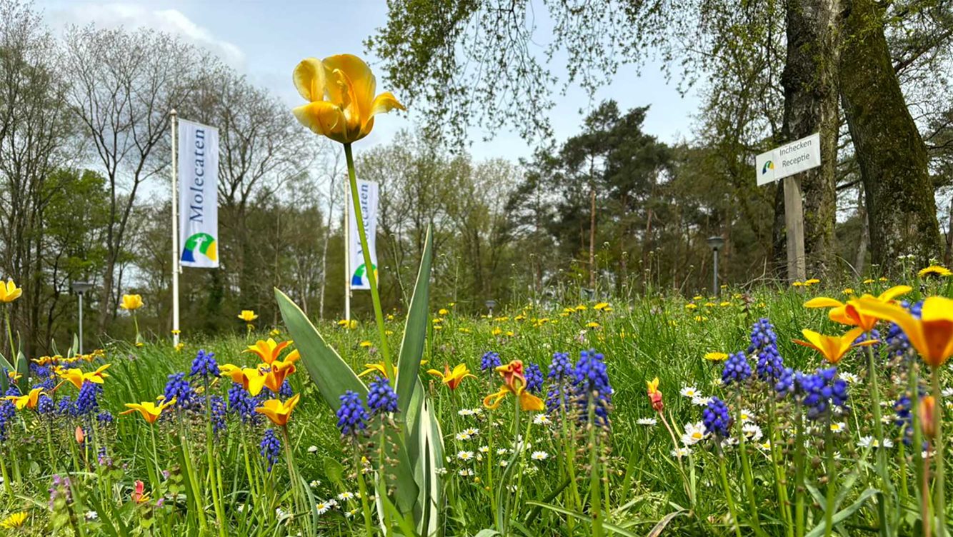 Eten en drinken De Koerberg op Molecaten Park De Koerberg Heerde 11