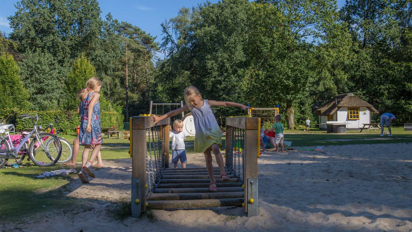 Kinderfeestje bij Molecaten Park De Leemkule Hattem 04 speeltuin
