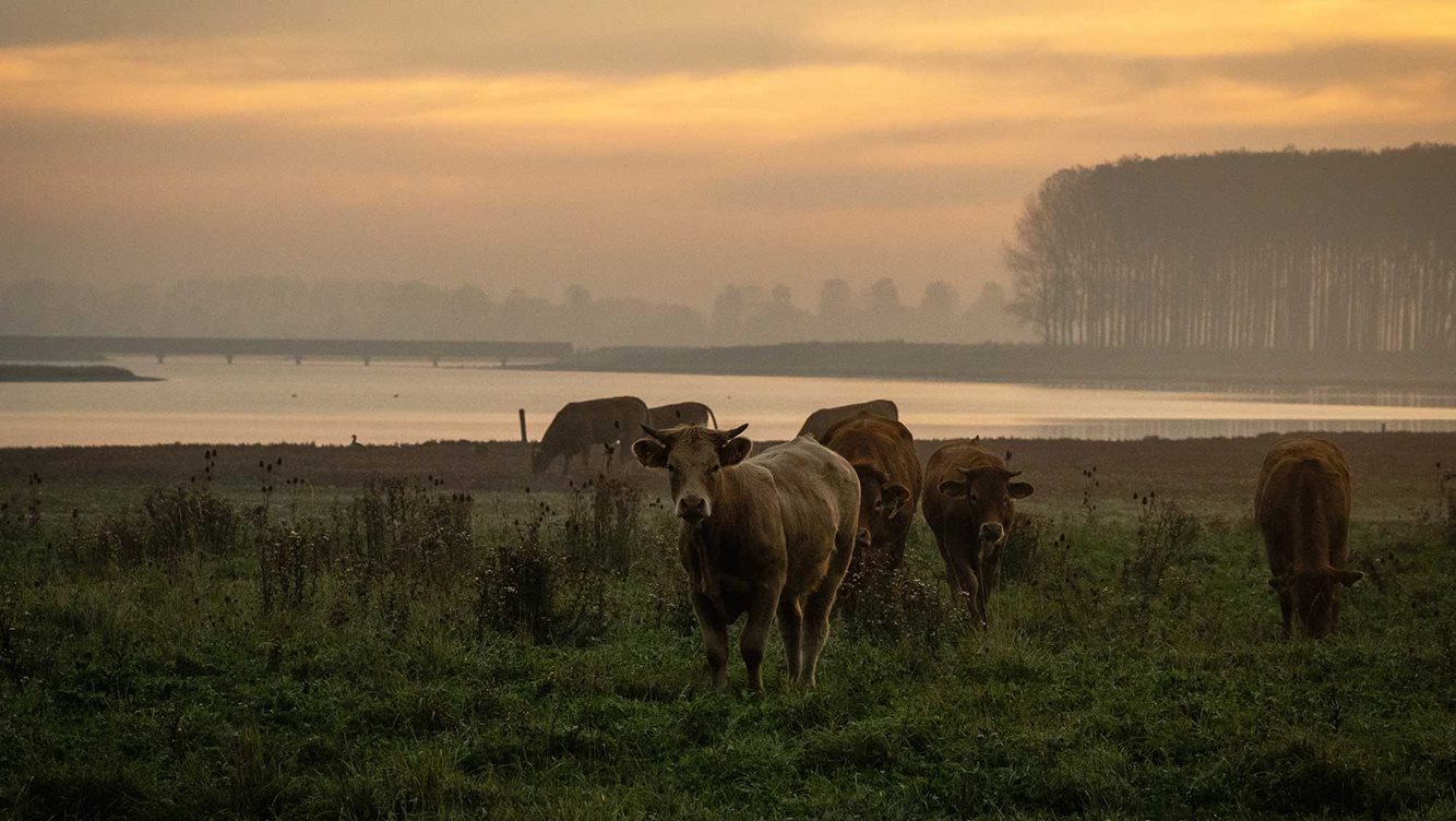 Winnaars molecaten fotowedstrijd 2023 06