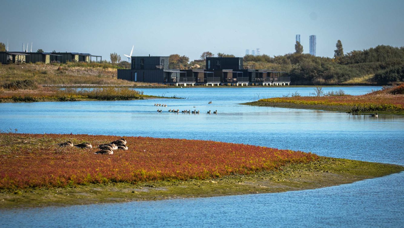 Winnaars molecaten fotowedstrijd 2025 11