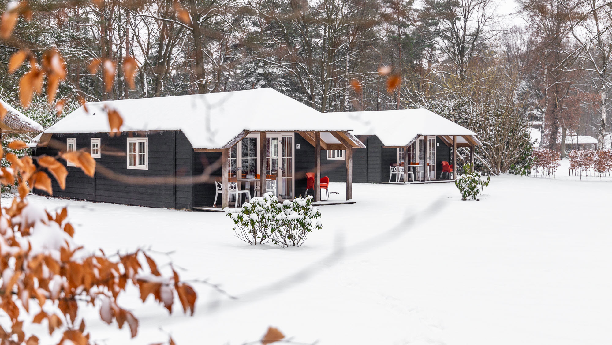 Molecaten winter in een bungalow in het bos 1