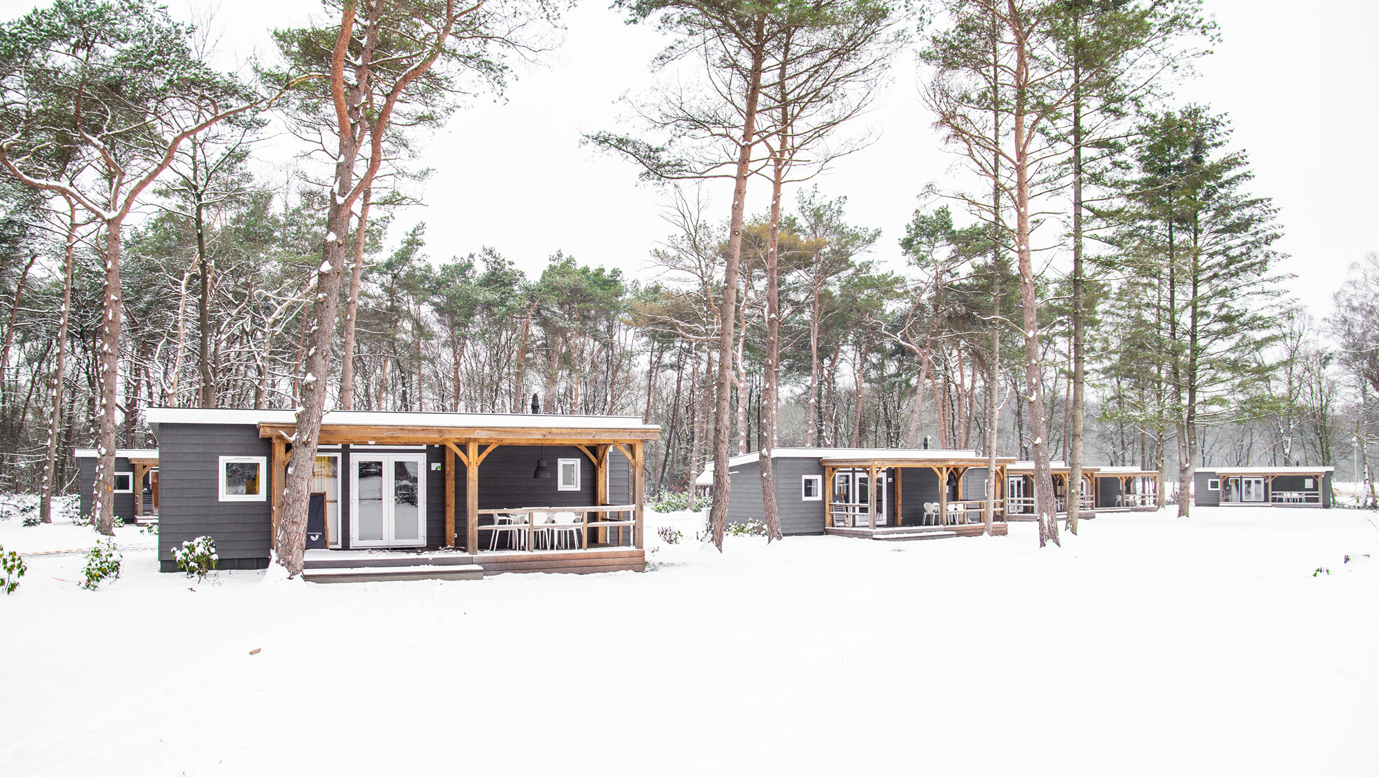 Molecaten winter in een bungalow in het bos 5
