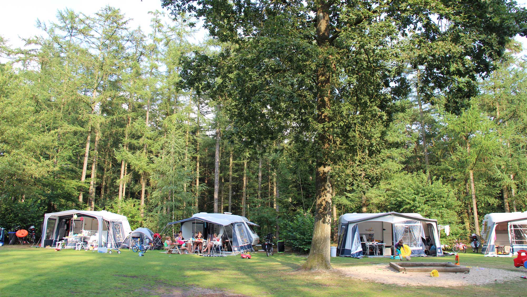 Comfortplaats kamperen Molecaten Park De Leemkule 08