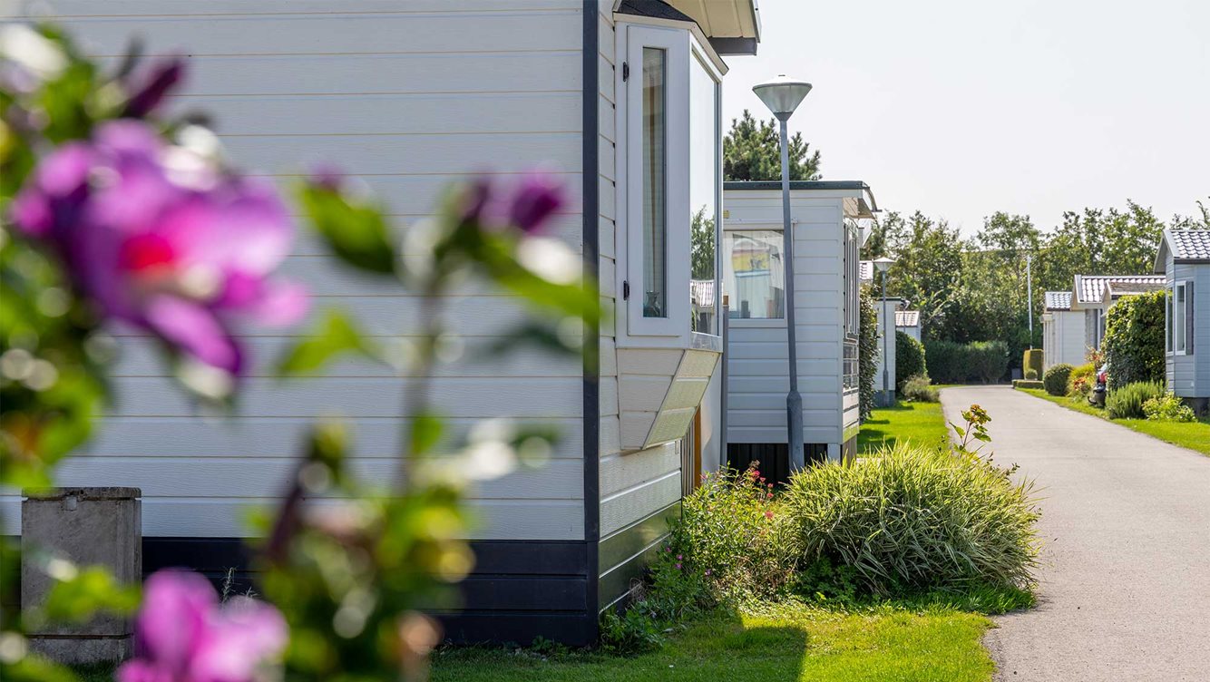 Vaste staanplaats Molecaten Park Hoogduin 10