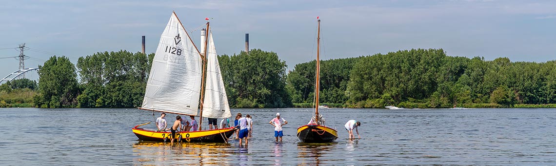 Molecaten Park Kruininger Gors 16