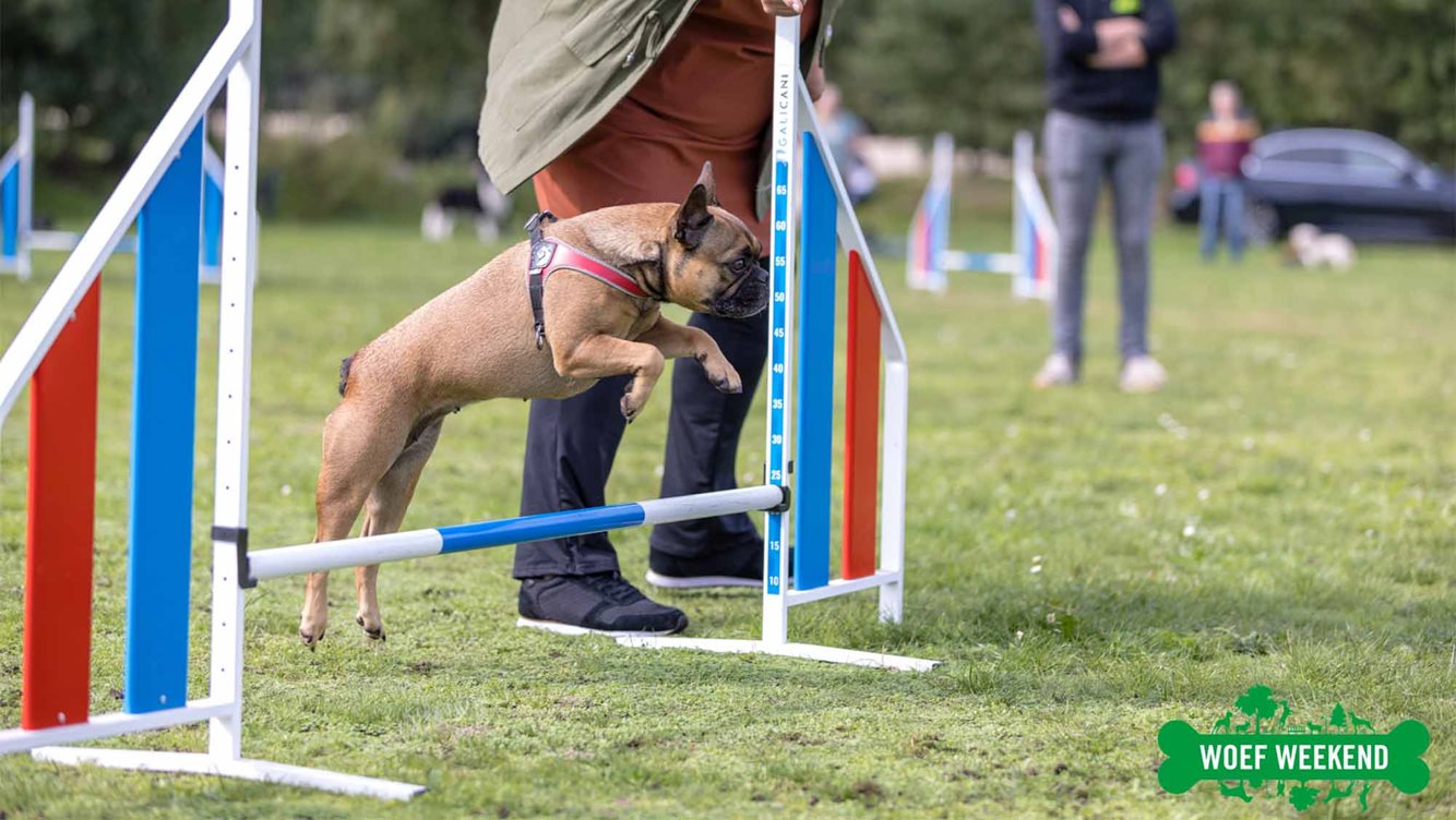 Woef_Weekend_2023_05