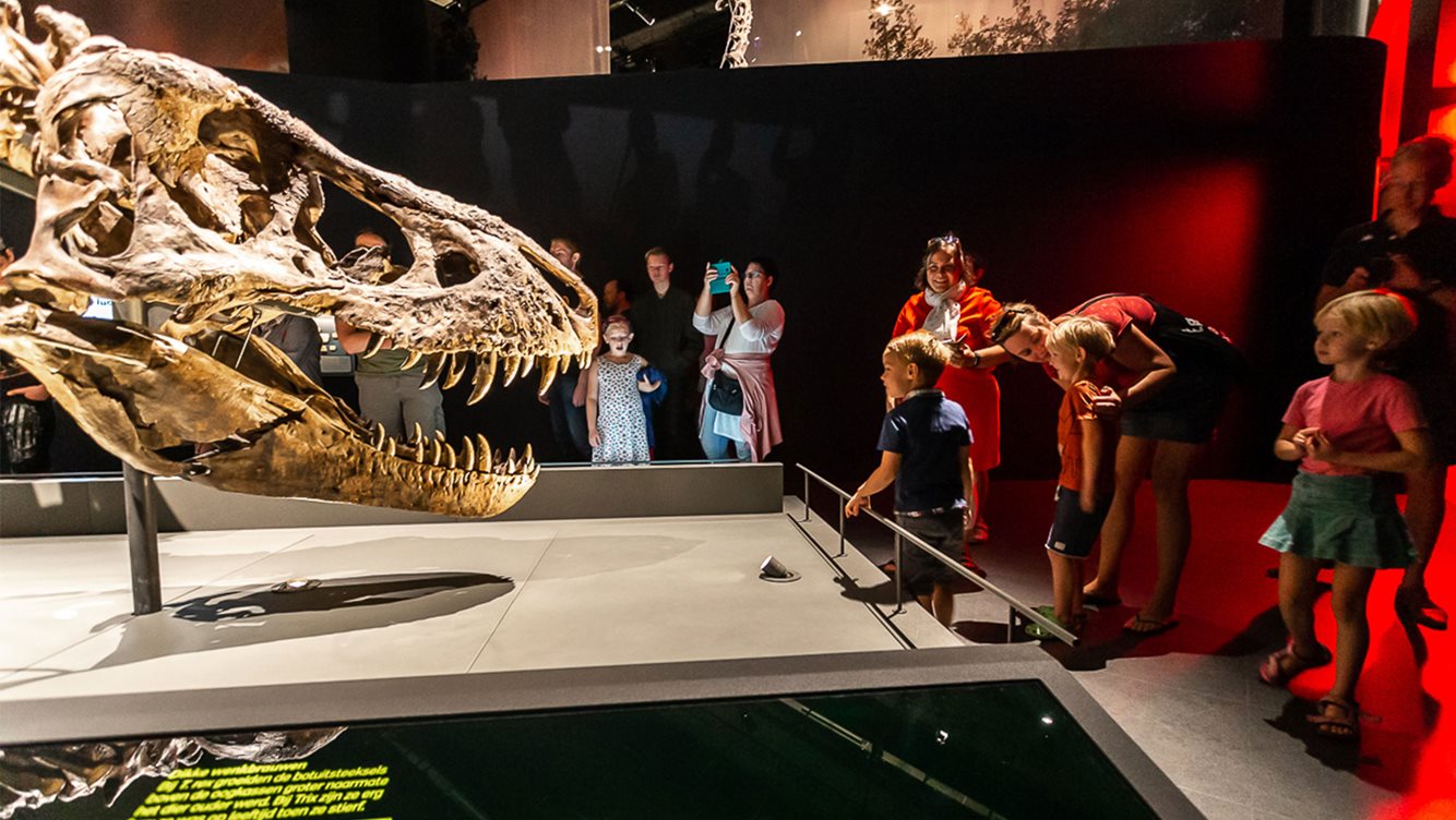 NaturalisBiodiveristyCenter 1