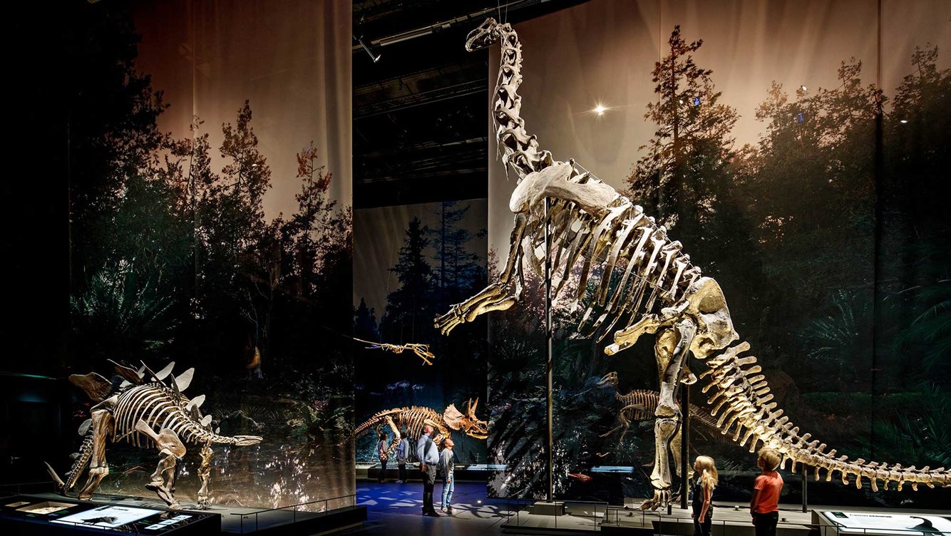 NaturalisBiodiversityCenter 2 Mike Bink Fotografie