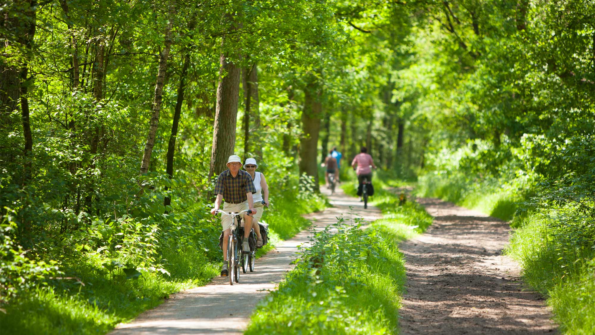 Omgeving Molecaten Park Landgoed Ginkelduin 09 fietsen
